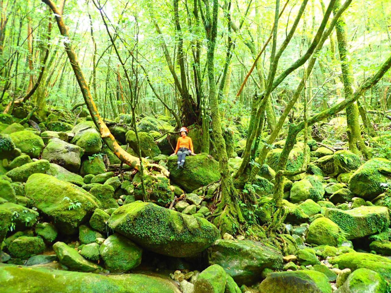 Yakushima Cottage Morino Fairy All Cotage With Open-Air Bath ภายนอก รูปภาพ