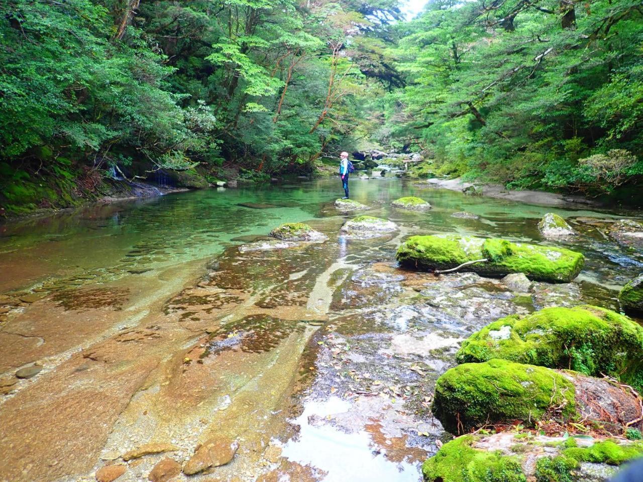 Yakushima Cottage Morino Fairy All Cotage With Open-Air Bath ภายนอก รูปภาพ