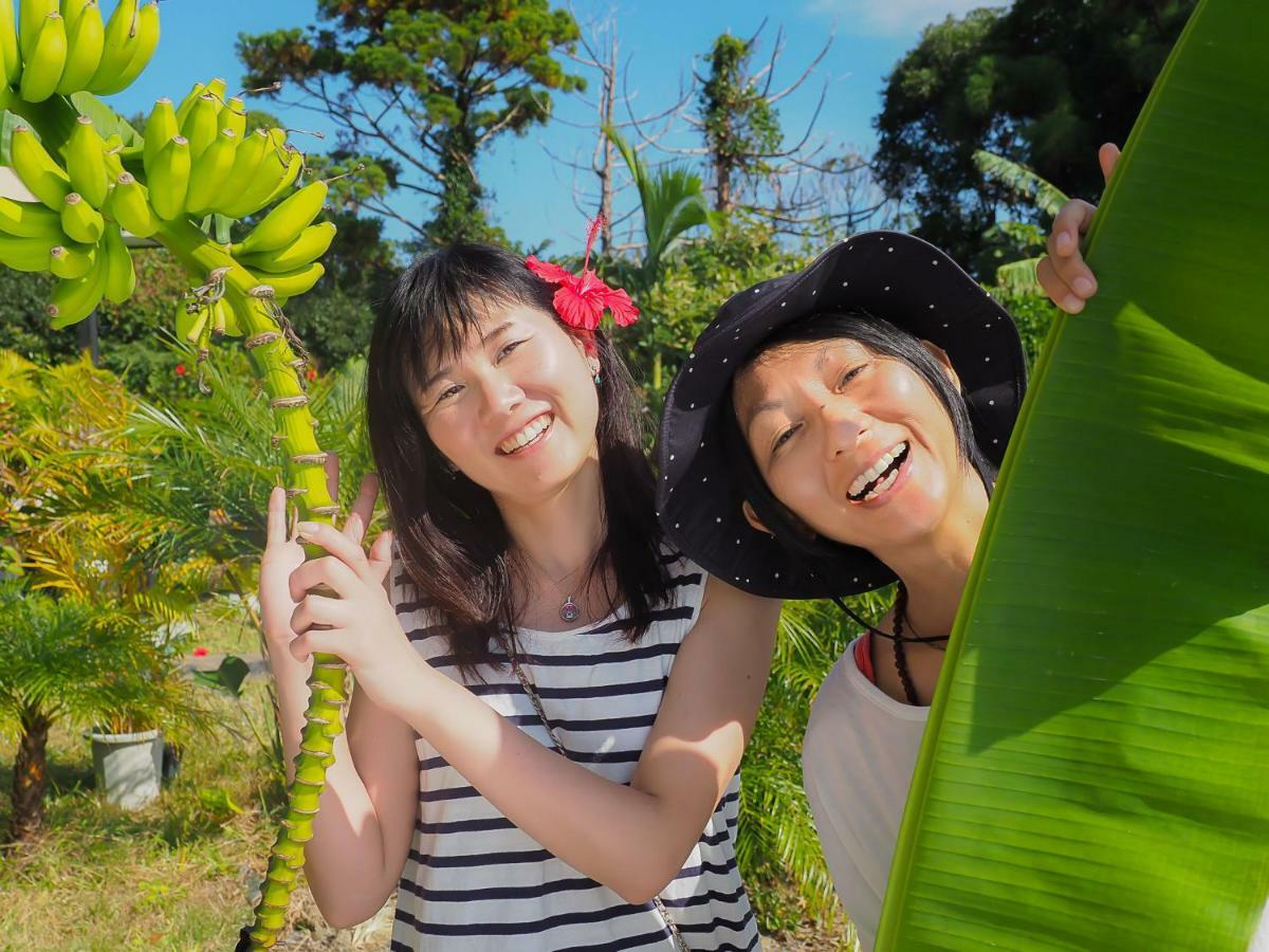 Yakushima Cottage Morino Fairy All Cotage With Open-Air Bath ภายนอก รูปภาพ